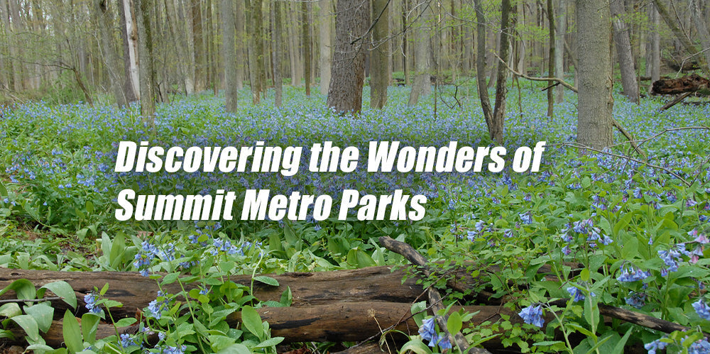 Summit Metroparks Ranger Discovering the Wonders of Summit Metro Parks – Vertical Runner