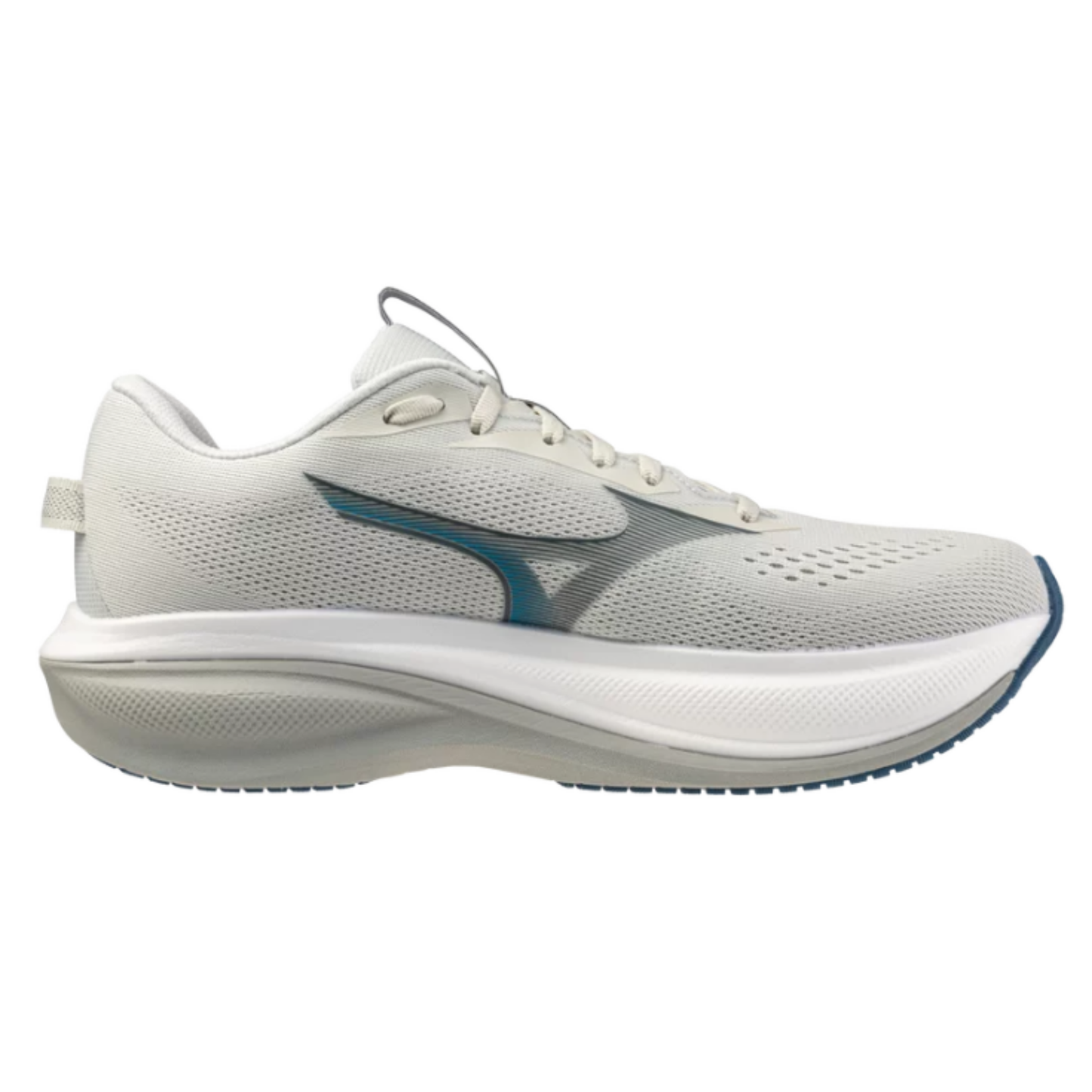 Mizuno Wave Rider 30 - Men's